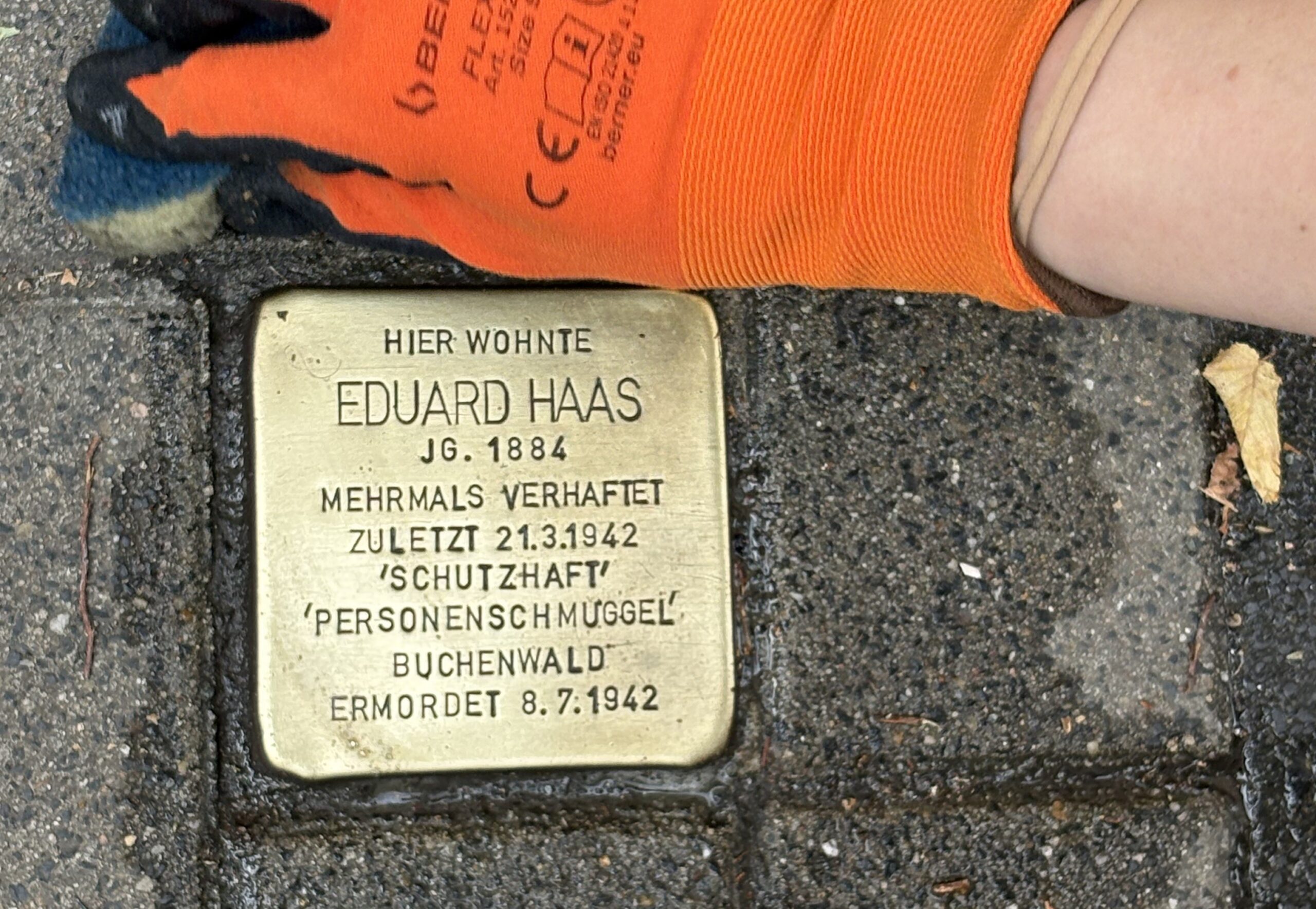 Ein glänzender Stolperstein in Köln für Eduard Haas, Jahrgang 1884, der dort gewohnt hat. Auf dem Stein steht, dass er mehrmals verhaftet wurde, zuletzt am 21.03.1942. Er kam wegen "Personenschmuggel" in sogenannte "Schutzhaft" und wurde am 08.07.1942 im Konzentrationslager Buchenwald ermordet.